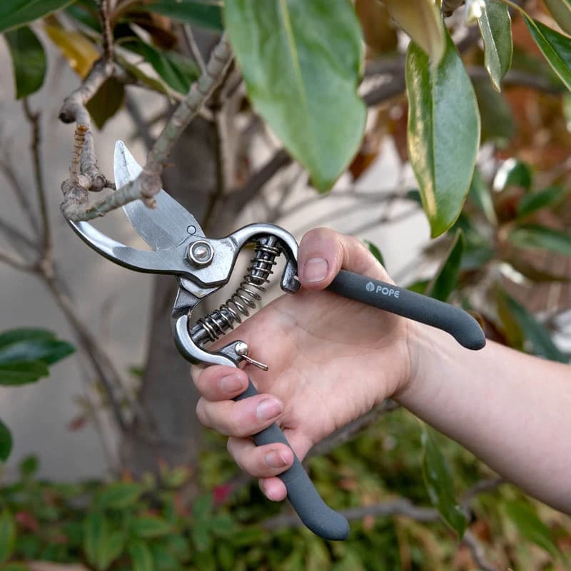 Bypass Pruner Tune-Up